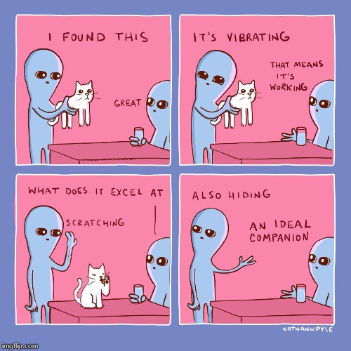The truth of cats | image tagged in comics/cartoons | made w/ Imgflip meme maker
