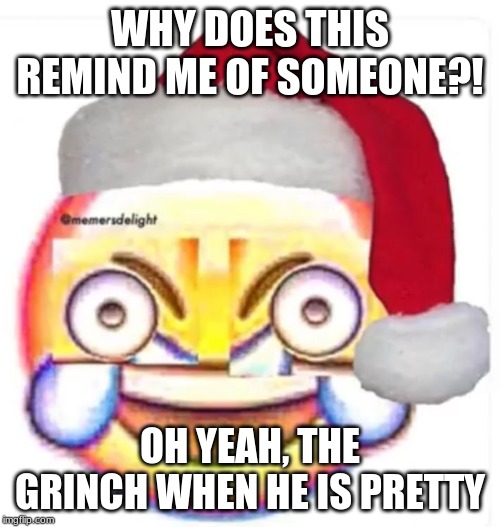 XD face | WHY DOES THIS REMIND ME OF SOMEONE?! OH YEAH, THE GRINCH WHEN HE IS PRETTY | image tagged in xd face | made w/ Imgflip meme maker