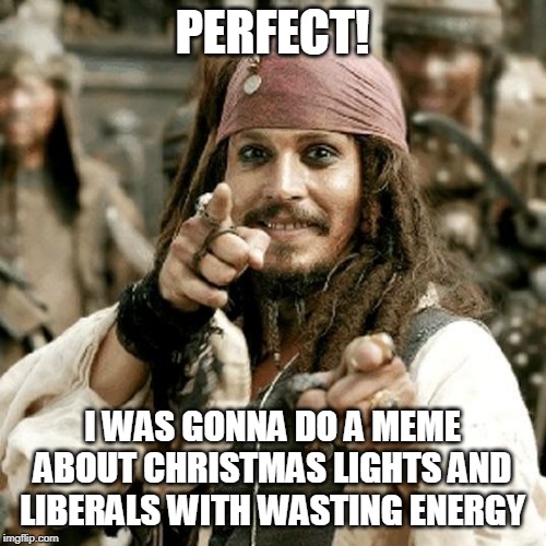 POINT JACK | PERFECT! I WAS GONNA DO A MEME ABOUT CHRISTMAS LIGHTS AND LIBERALS WITH WASTING ENERGY | image tagged in point jack | made w/ Imgflip meme maker