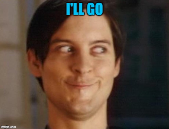 Spiderman Peter Parker Meme | I'LL GO | image tagged in memes,spiderman peter parker | made w/ Imgflip meme maker