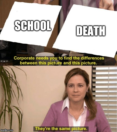 They're The Same Picture | SCHOOL; DEATH | image tagged in office same picture | made w/ Imgflip meme maker