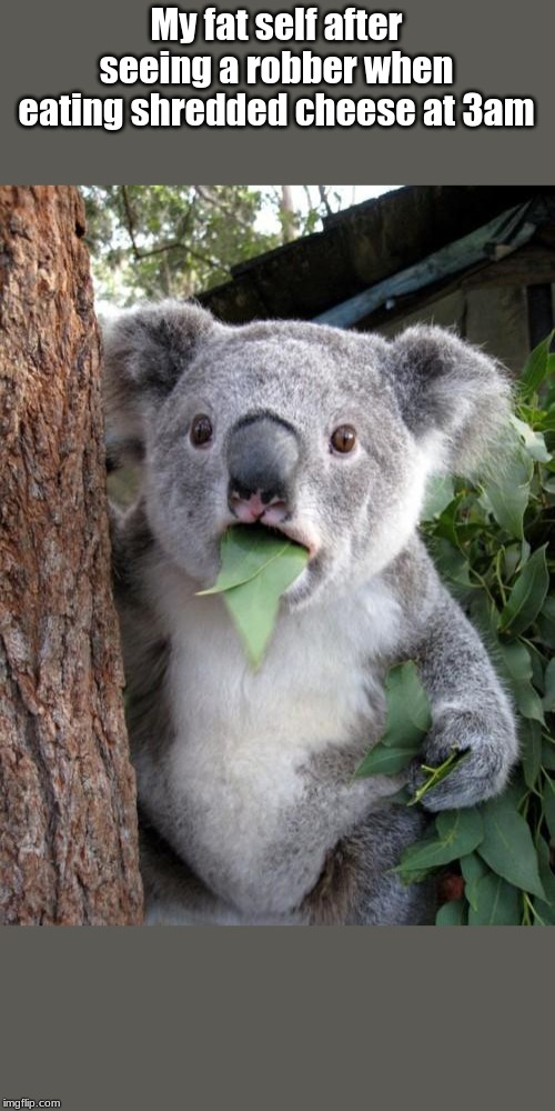 Surprised Koala | My fat self after seeing a robber when eating shredded cheese at 3am | image tagged in memes,surprised koala | made w/ Imgflip meme maker