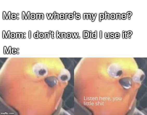 Listen here you little shit bird | Me: Mom where's my phone? Mom: I don't know. Did I use it? Me: | image tagged in listen here you little shit bird | made w/ Imgflip meme maker