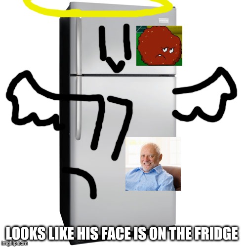 Fridge | LOOKS LIKE HIS FACE IS ON THE FRIDGE | image tagged in fridge | made w/ Imgflip meme maker