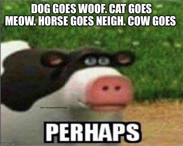 Perhaps Cow | DOG GOES WOOF. CAT GOES MEOW. HORSE GOES NEIGH. COW GOES | image tagged in perhaps cow | made w/ Imgflip meme maker