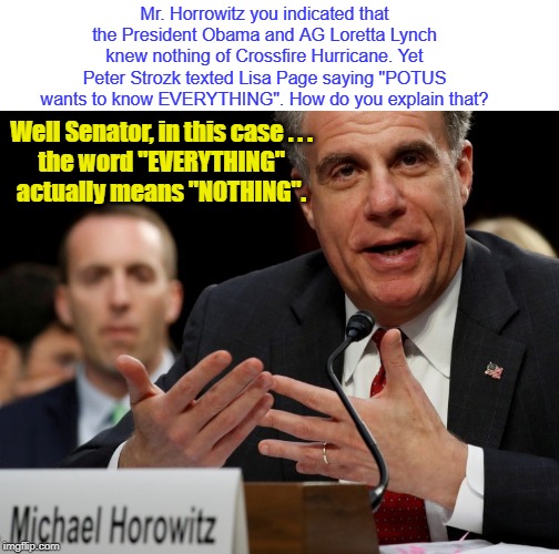 EVERYTHING means NOTHING | Mr. Horrowitz you indicated that the President Obama and AG Loretta Lynch knew nothing of Crossfire Hurricane. Yet Peter Strozk texted Lisa Page saying "POTUS wants to know EVERYTHING". How do you explain that? Well Senator, in this case . . .
the word "EVERYTHING" actually means "NOTHING". | image tagged in michael horrowitz,obama,loretta lynch,fisa report | made w/ Imgflip meme maker