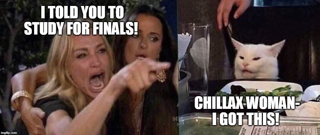 woman yelling at cat | I TOLD YOU TO STUDY FOR FINALS! CHILLAX WOMAN- I GOT THIS! | image tagged in woman yelling at cat | made w/ Imgflip meme maker