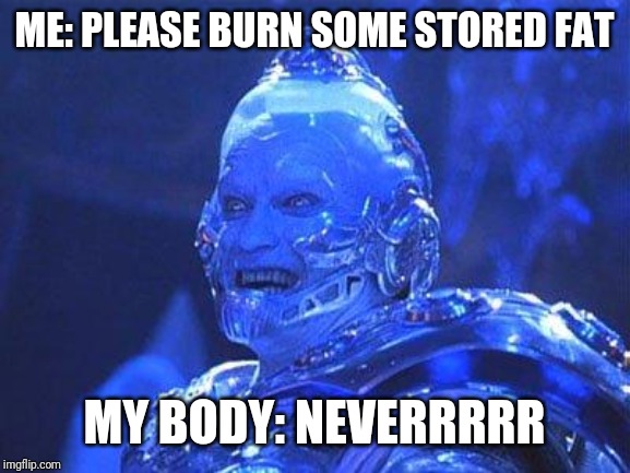 Mr Freeze | ME: PLEASE BURN SOME STORED FAT; MY BODY: NEVERRRRR | image tagged in mr freeze | made w/ Imgflip meme maker