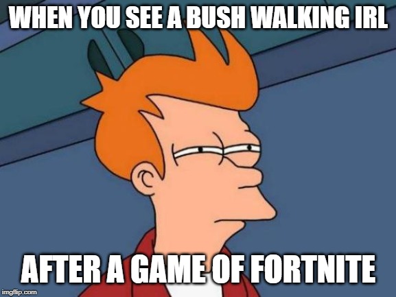 Futurama Fry | WHEN YOU SEE A BUSH WALKING IRL; AFTER A GAME OF FORTNITE | image tagged in memes,futurama fry | made w/ Imgflip meme maker