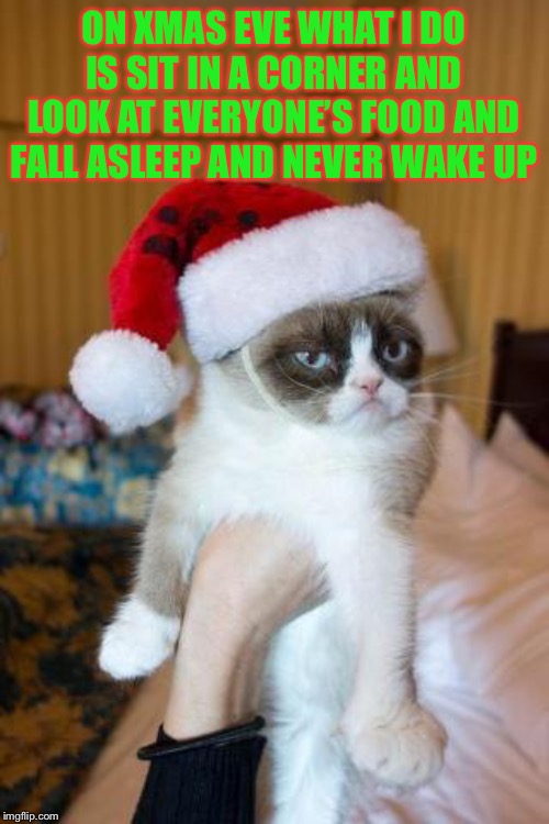 Grumpy Cat Christmas | ON XMAS EVE WHAT I DO IS SIT IN A CORNER AND LOOK AT EVERYONE’S FOOD AND FALL ASLEEP AND NEVER WAKE UP | image tagged in memes,grumpy cat christmas,grumpy cat | made w/ Imgflip meme maker