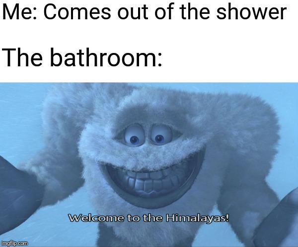 Shower | Me: Comes out of the shower; The bathroom: | image tagged in welcome to the himalayas,freezing cold,shower,bathroom,relatable | made w/ Imgflip meme maker