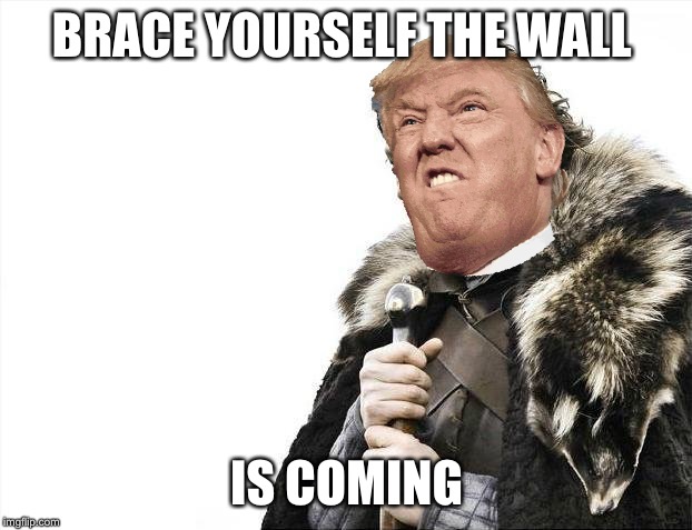 Brace Yourselves X is Coming | BRACE YOURSELF THE WALL; IS COMING | image tagged in memes,brace yourselves x is coming | made w/ Imgflip meme maker