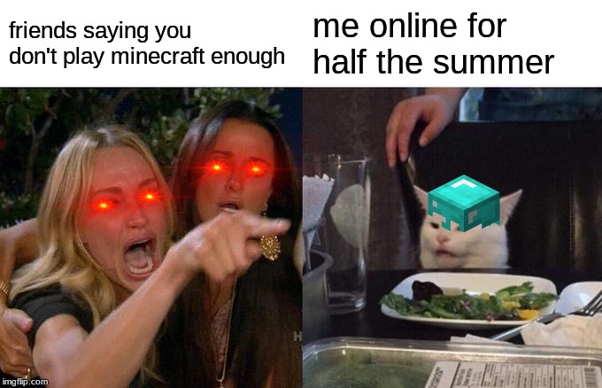 Woman Yelling At Cat | friends saying you don't play minecraft enough; me online for half the summer | image tagged in memes,woman yelling at cat | made w/ Imgflip meme maker