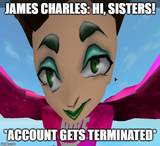 JAMES CHARLES: HI, SISTERS! *ACCOUNT GETS TERMINATED* | image tagged in james charles,hi sisters,hey sisters,james charles roblox,james charles memes,james charles roblox memes | made w/ Imgflip meme maker