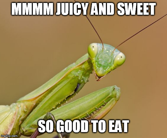 MMMM JUICY AND SWEET SO GOOD TO EAT | made w/ Imgflip meme maker