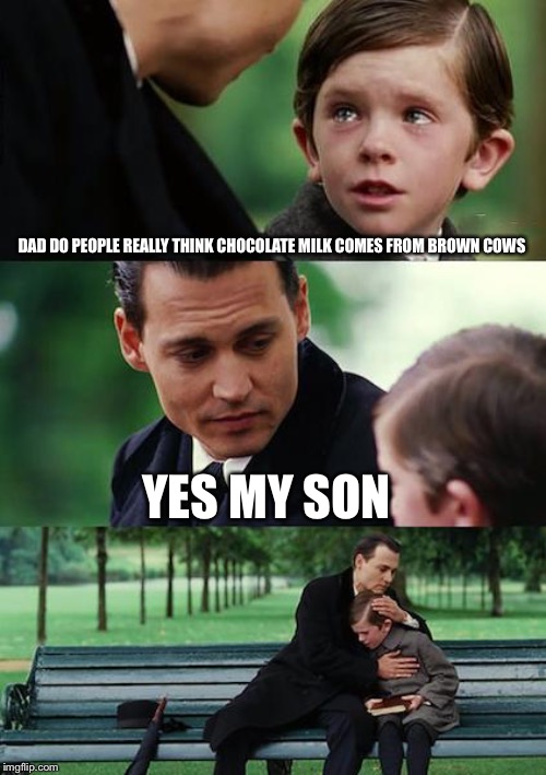 Finding Neverland Meme | DAD DO PEOPLE REALLY THINK CHOCOLATE MILK COMES FROM BROWN COWS; YES MY SON | image tagged in memes,finding neverland | made w/ Imgflip meme maker