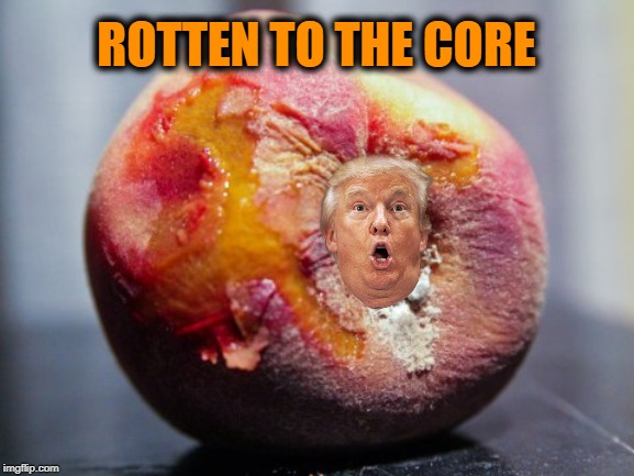He's The Pits | ROTTEN TO THE CORE | image tagged in trump,impeach trump,impeachment | made w/ Imgflip meme maker