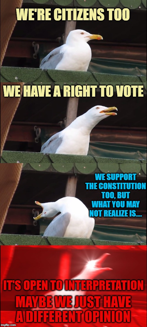 When Democrats can't possibly be Americans because they don't "support the Constitution." | WE'RE CITIZENS TOO; WE HAVE A RIGHT TO VOTE; WE SUPPORT THE CONSTITUTION TOO, BUT WHAT YOU MAY NOT REALIZE IS.... IT'S OPEN TO INTERPRETATION; MAYBE WE JUST HAVE A DIFFERENT OPINION | image tagged in memes,inhaling seagull,us constitution,democrats,american politics,constitution | made w/ Imgflip meme maker