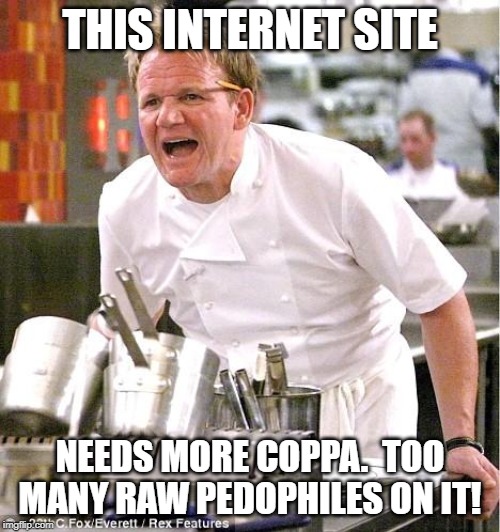 Chef Gordon Ramsay | THIS INTERNET SITE; NEEDS MORE COPPA.  TOO MANY RAW PEDOPHILES ON IT! | image tagged in memes,chef gordon ramsay | made w/ Imgflip meme maker