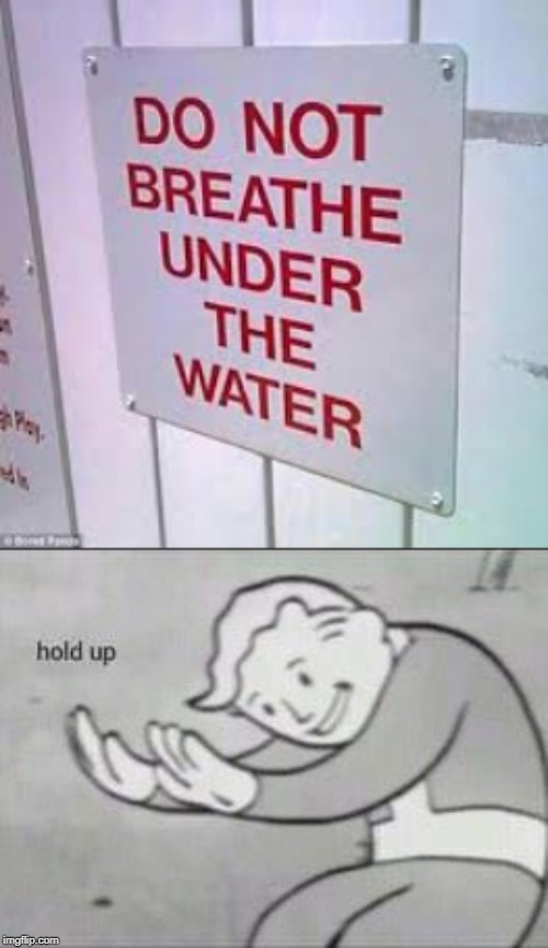 image tagged in fallout hold up | made w/ Imgflip meme maker