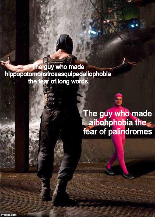 Pink Guy vs Bane | The guy who made hippopotomonstrosesquipedaliophobia the fear of long words; The guy who made aibohphobia the fear of palindromes | image tagged in pink guy vs bane | made w/ Imgflip meme maker