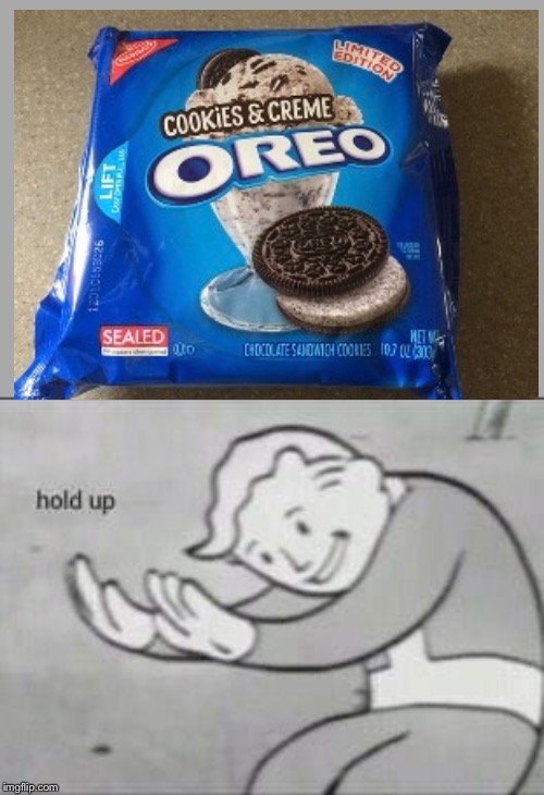 Fallout Hold Up | image tagged in fallout hold up | made w/ Imgflip meme maker
