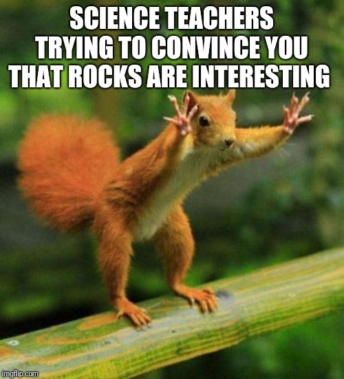funny sqirrel | SCIENCE TEACHERS TRYING TO CONVINCE YOU THAT ROCKS ARE INTERESTING | image tagged in funny sqirrel | made w/ Imgflip meme maker