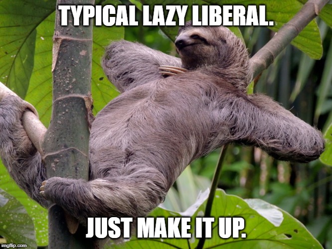 Lazy Sloth | TYPICAL LAZY LIBERAL. JUST MAKE IT UP. | image tagged in lazy sloth | made w/ Imgflip meme maker