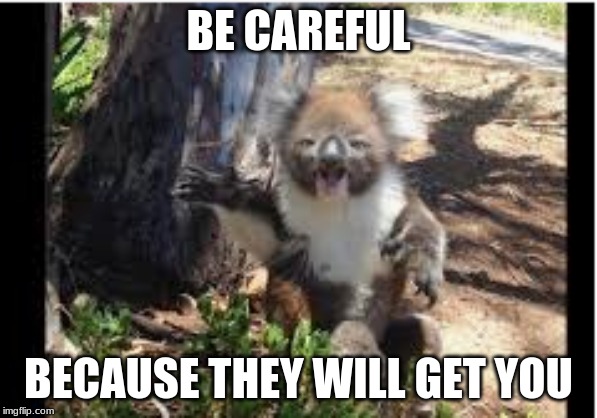 BE CAREFUL; BECAUSE THEY WILL GET YOU | image tagged in memes | made w/ Imgflip meme maker