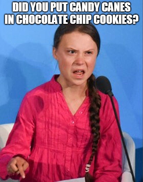 Greta Thunberg how dare you | DID YOU PUT CANDY CANES IN CHOCOLATE CHIP COOKIES? | image tagged in greta thunberg how dare you | made w/ Imgflip meme maker