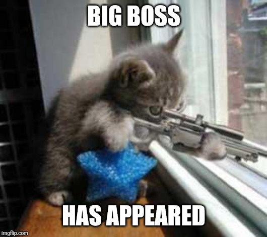 CatSniper | BIG BOSS HAS APPEARED | image tagged in catsniper | made w/ Imgflip meme maker