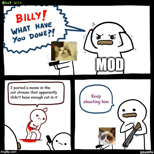 The Cat Overlords Are Never Happy | MOD; I posted a meme in the cat stream that apparently didn't have enough cat in it; Keep shooting him | image tagged in billy what have you done,grumpy cat,cats,cat | made w/ Imgflip meme maker
