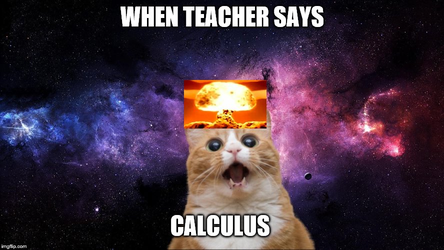 Cat with a brain | WHEN TEACHER SAYS; CALCULUS | image tagged in space cat,space kitty,cat nuke,nuke cat,smart cat | made w/ Imgflip meme maker