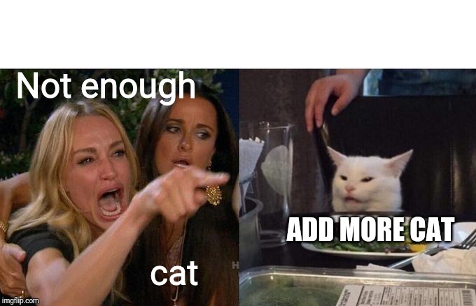 Woman Yelling At Cat Meme | Not enough cat ADD MORE CAT | image tagged in memes,woman yelling at cat | made w/ Imgflip meme maker