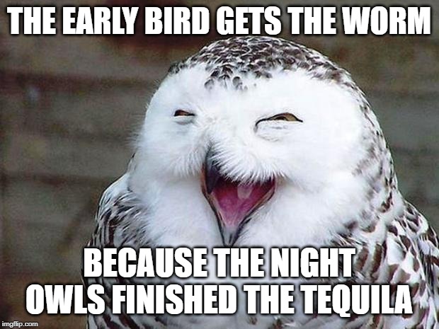 Tequila! | THE EARLY BIRD GETS THE WORM; BECAUSE THE NIGHT OWLS FINISHED THE TEQUILA | image tagged in owl happy | made w/ Imgflip meme maker