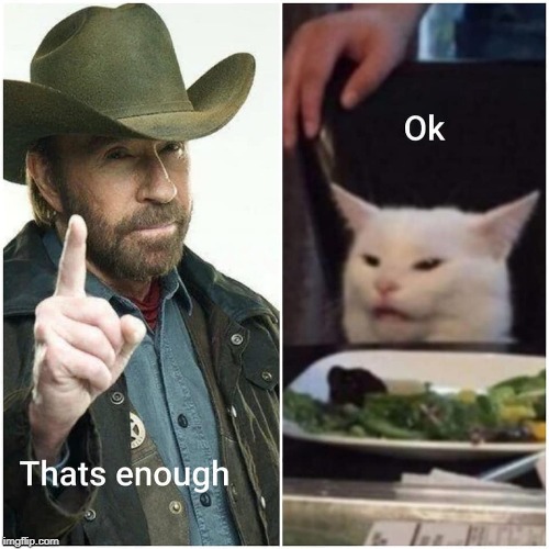 Chuck Cat | image tagged in chuck norris,woman yelling at cat,funny | made w/ Imgflip meme maker