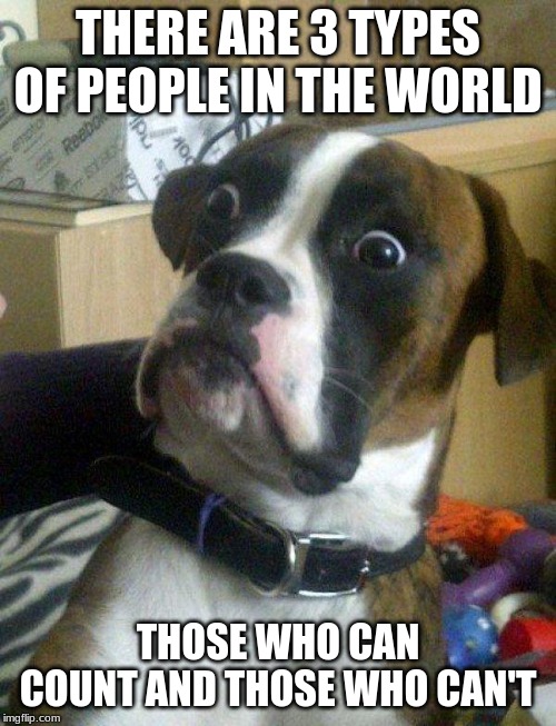 Blankie the Shocked Dog | THERE ARE 3 TYPES OF PEOPLE IN THE WORLD; THOSE WHO CAN COUNT AND THOSE WHO CAN'T | image tagged in blankie the shocked dog | made w/ Imgflip meme maker