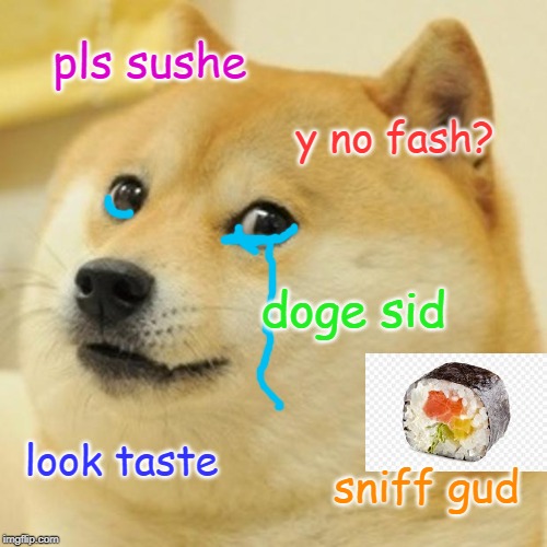 Doge | pls sushe; y no fash? doge sid; look taste; sniff gud | image tagged in memes,doge | made w/ Imgflip meme maker