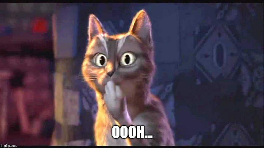 Oooh Cat | OOOH... | image tagged in oooh cat | made w/ Imgflip meme maker