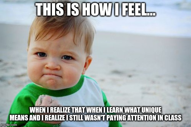 Success Kid Original Meme | THIS IS HOW I FEEL... WHEN I REALIZE THAT WHEN I LEARN WHAT UNIQUE MEANS AND I REALIZE I STILL WASN'T PAYING ATTENTION IN CLASS | image tagged in memes,success kid original | made w/ Imgflip meme maker