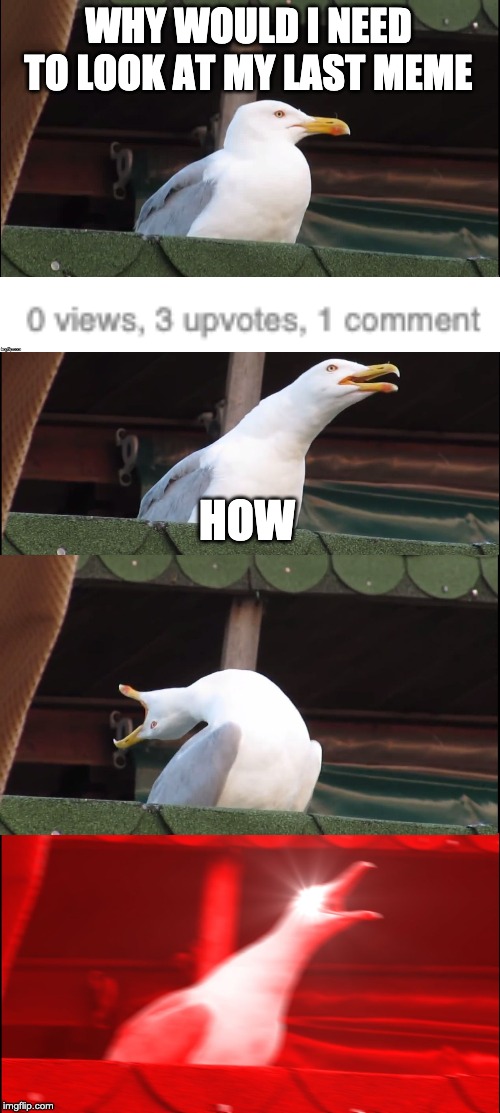 Inhaling Seagull Meme | WHY WOULD I NEED TO LOOK AT MY LAST MEME; HOW | image tagged in memes,inhaling seagull,funny,no views but 3 upvotes | made w/ Imgflip meme maker