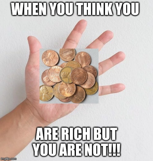 NOT RICH!!! | WHEN YOU THINK YOU; ARE RICH BUT YOU ARE NOT!!! | image tagged in lol so funny | made w/ Imgflip meme maker