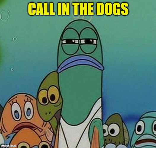 SpongeBob | CALL IN THE DOGS | image tagged in spongebob | made w/ Imgflip meme maker