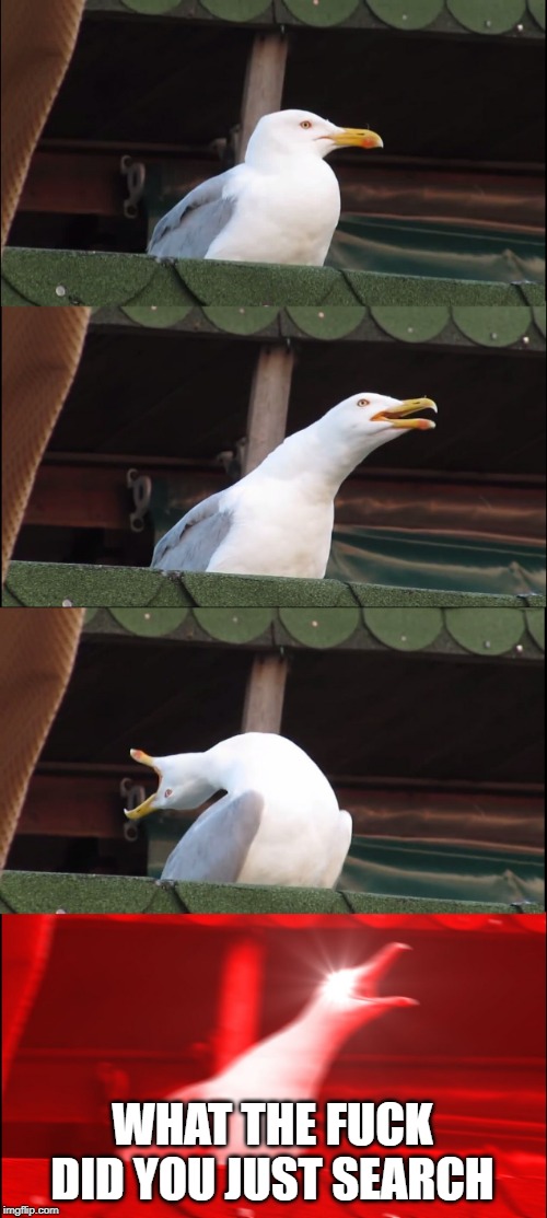 Inhaling Seagull Meme | WHAT THE F**K DID YOU JUST SEARCH | image tagged in memes,inhaling seagull | made w/ Imgflip meme maker