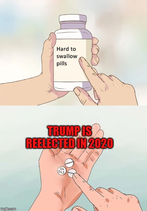 Trump is reelected in 2020 | TRUMP IS REELECTED IN 2020 | image tagged in memes,hard to swallow pills,donald trump | made w/ Imgflip meme maker