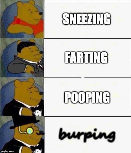 Tuxedo Winnie the Pooh 4 panel | SNEEZING FARTING POOPING burping | image tagged in tuxedo winnie the pooh 4 panel | made w/ Imgflip meme maker