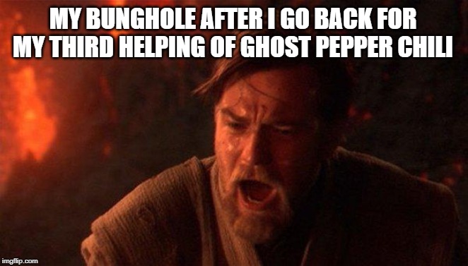 You Were The Chosen One (Star Wars) | MY BUNGHOLE AFTER I GO BACK FOR MY THIRD HELPING OF GHOST PEPPER CHILI | image tagged in memes,you were the chosen one star wars | made w/ Imgflip meme maker