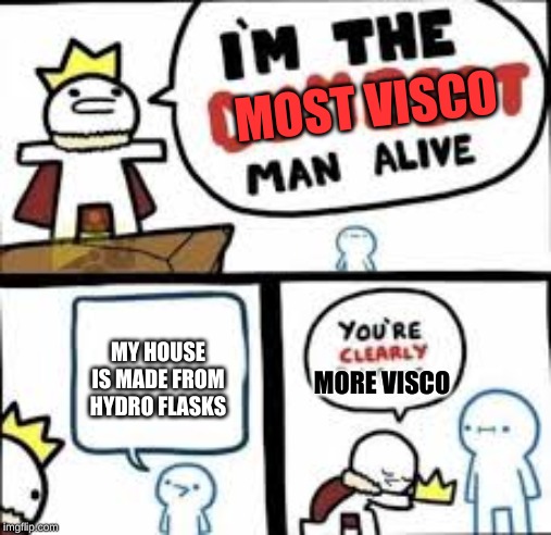 Im the dumbest man alive | MOST VISCO; MY HOUSE IS MADE FROM HYDRO FLASKS; MORE VISCO | image tagged in im the dumbest man alive | made w/ Imgflip meme maker