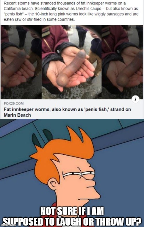 Slow News Day Huh | NOT SURE IF I AM SUPPOSED TO LAUGH OR THROW UP? | image tagged in memes,futurama fry | made w/ Imgflip meme maker