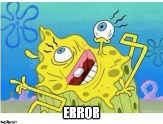 wtf spongebob | ERROR | image tagged in wtf spongebob | made w/ Imgflip meme maker